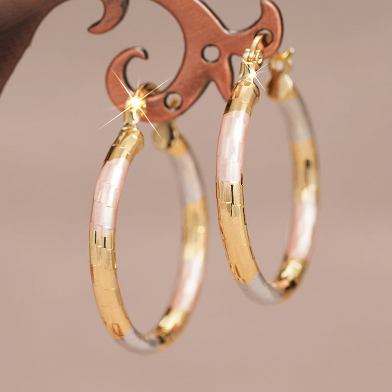 Metal Multi-color Trendy Earrings For Women